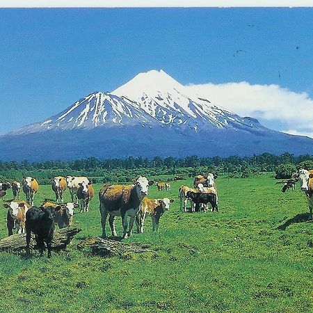 Wheatly Downs Farmstay And Backpackers Hawera Extérieur photo